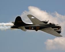 Sally B