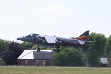 Harrier