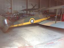 Tiger Moth