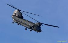 Chinook