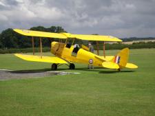 Tiger Moth