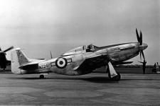 Rnzaf Mustang