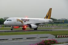 Tiger Airbus