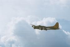 Sally B