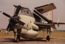 Fairy Gannet Aew3